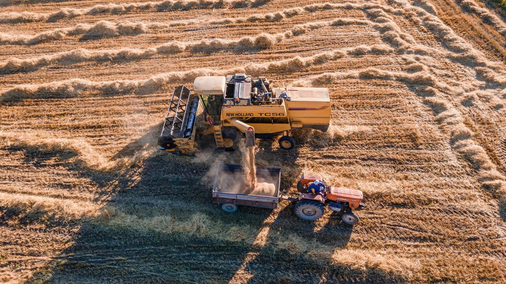 Corsi Serali per il Diploma di Agraria con Grandi Scuole